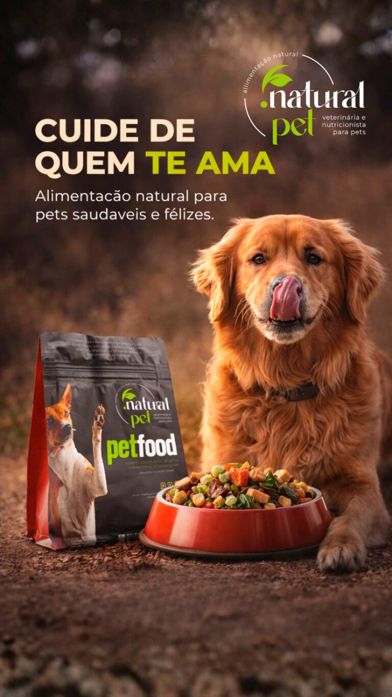 Gestão profissional de Instagram para empresas