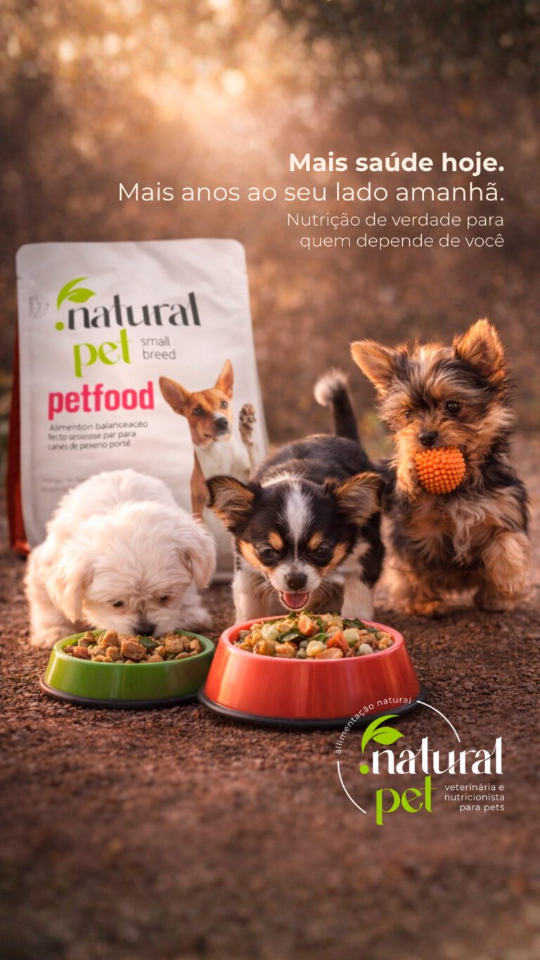 planejamento de redes sociais para negocios